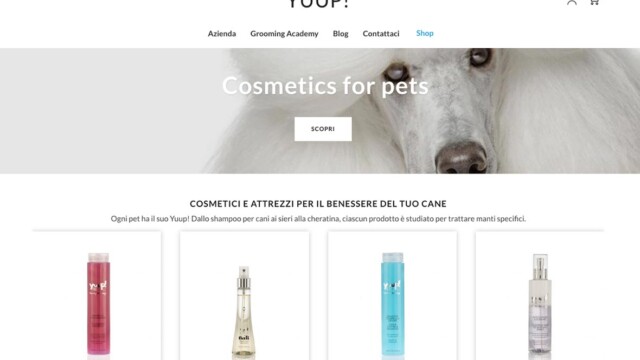 Assistenza di grafica per sito web